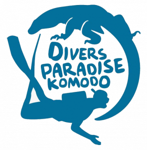 Diving at Meruorah Komodo