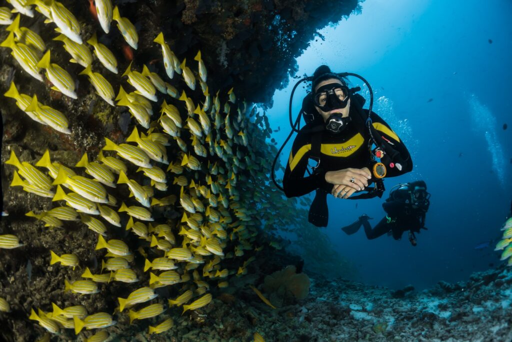 Diving with fish in Komodo Island